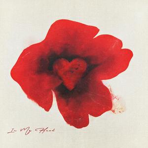 蜜臀AV色欲A片无码一区
